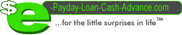 This loan origination firm made a substantial investment in 1998 that led to 40 small websites being developed.