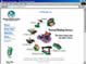 web design service, Search Engine Optimization